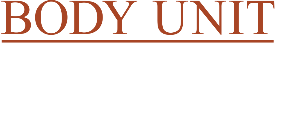 BODY UNIT