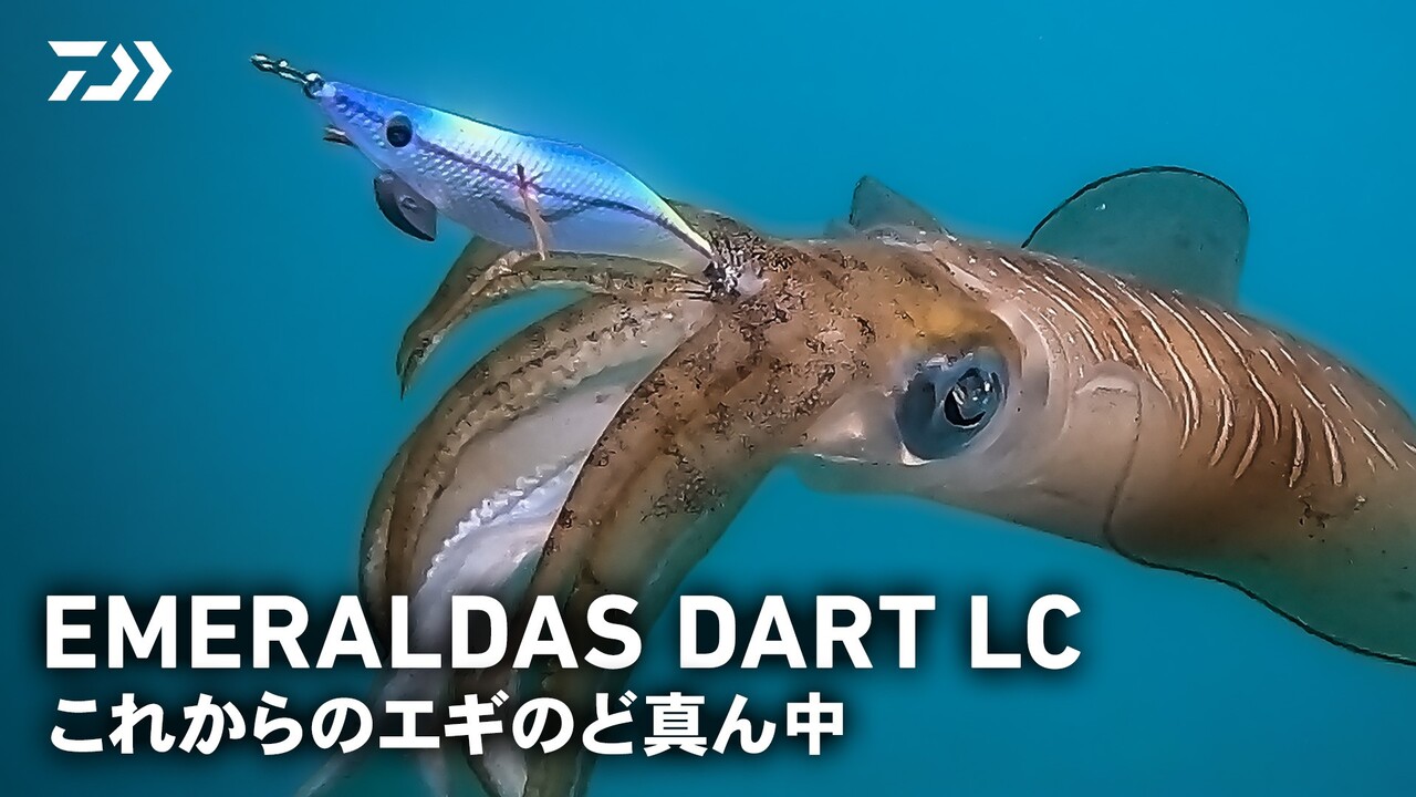 エメラルダスダートLC　これからのエギのど真ん中