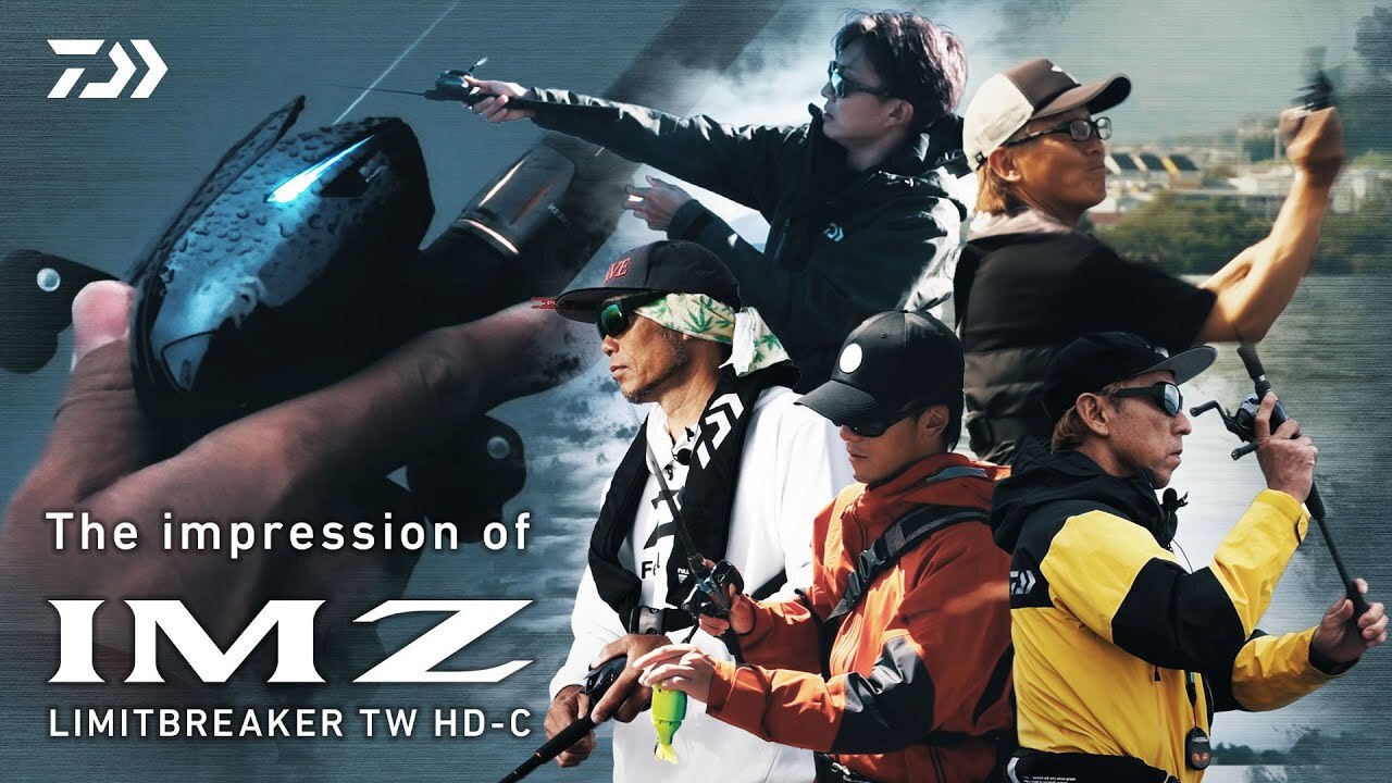 The impression of IM Z