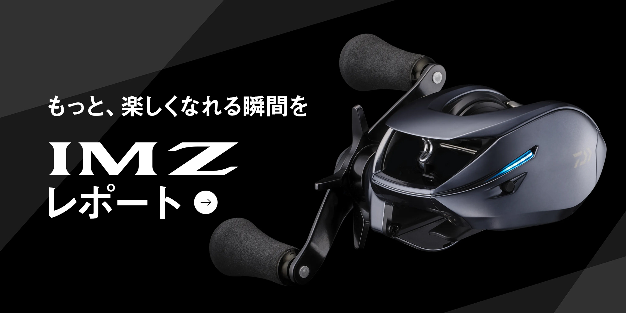 IM Zレポート