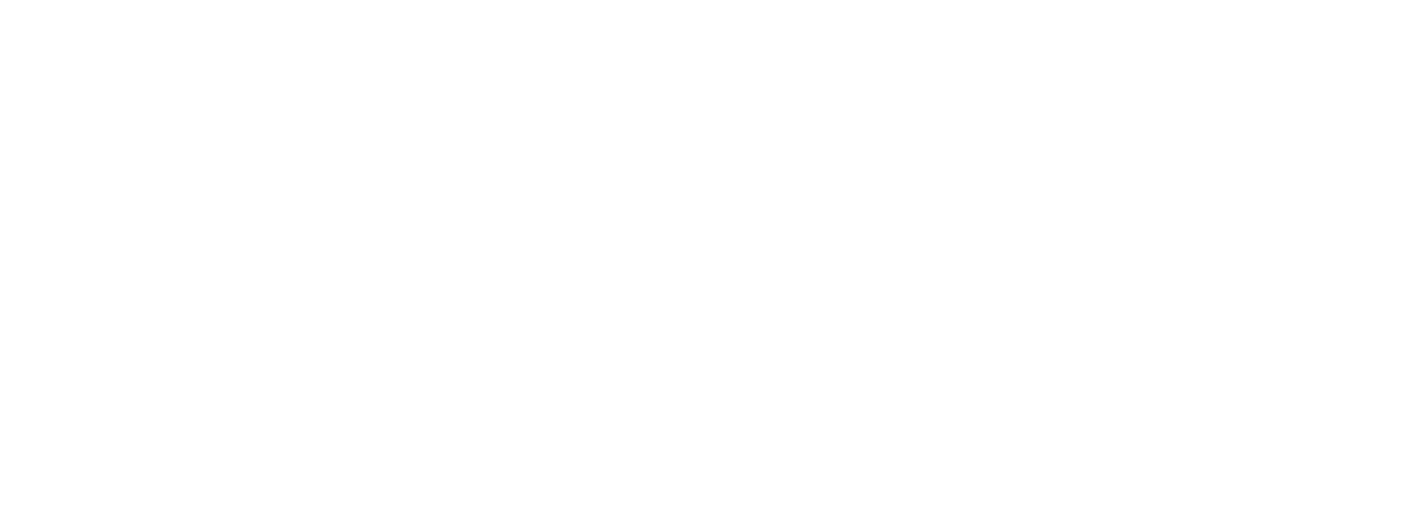 IM Z TW100-C