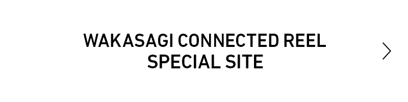 SW CONNECTED REEL SPECIAL SITE
