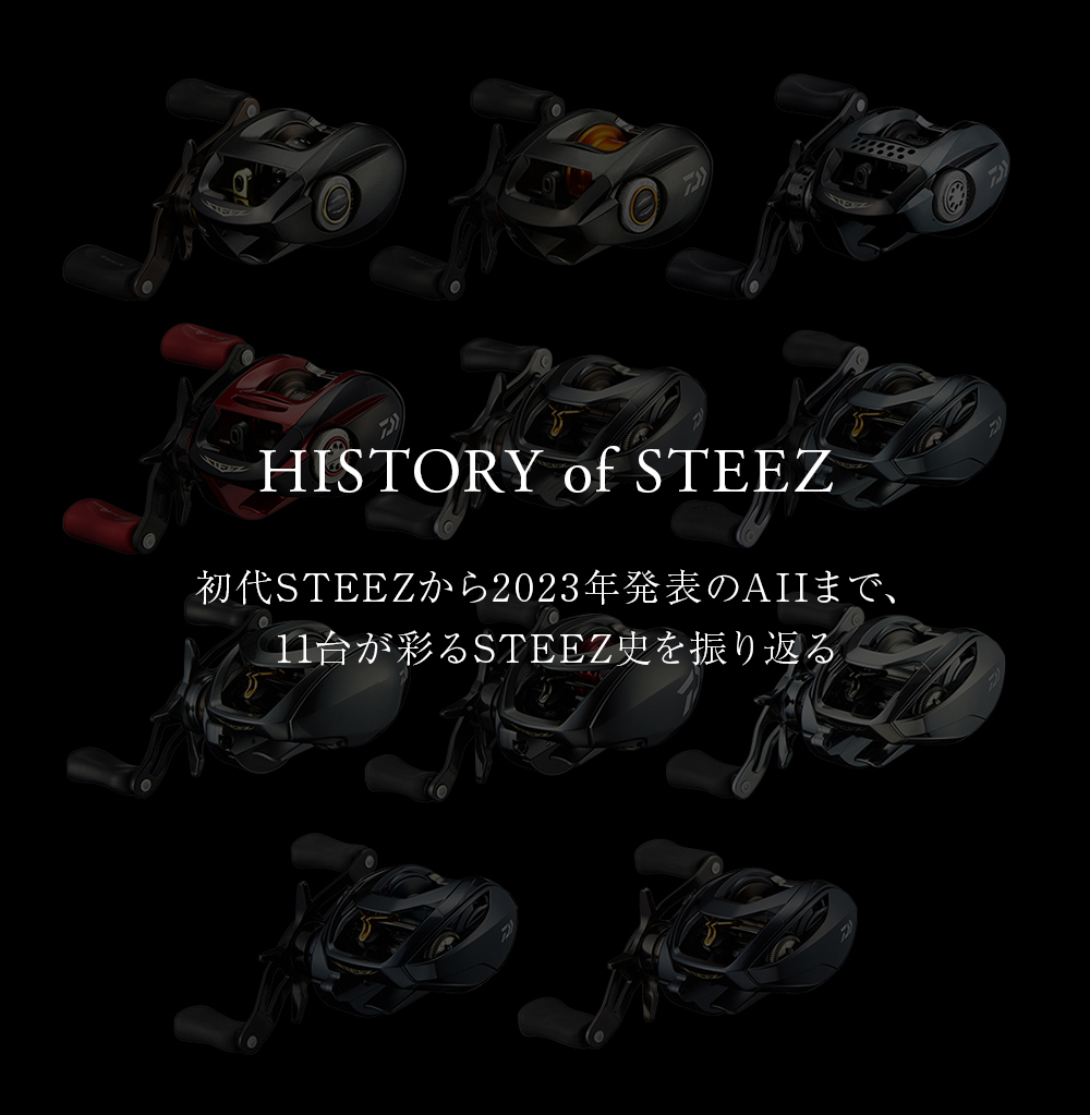 HISTORY of STEEZ