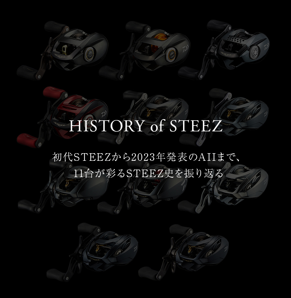 HISTORY of STEEZ