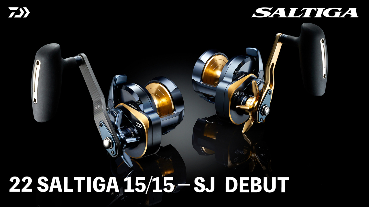 SALTIGA 15 DEBUT
