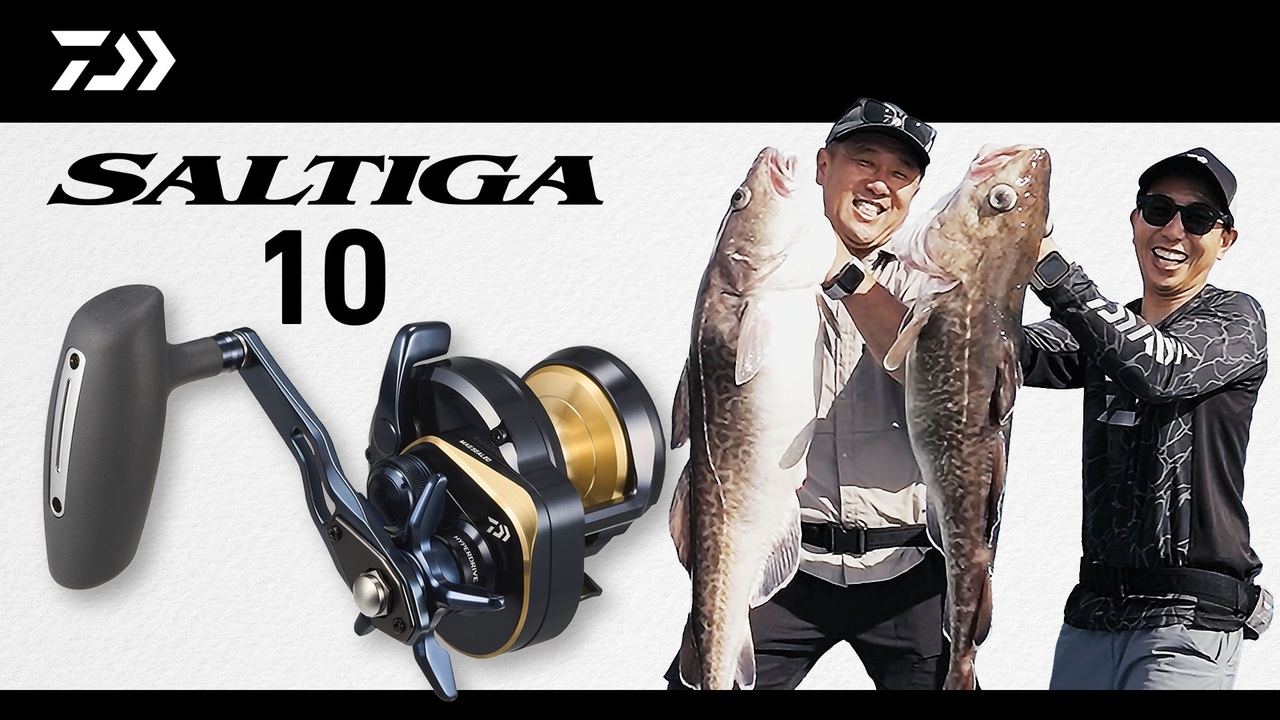 SALTIGA 10 Debut