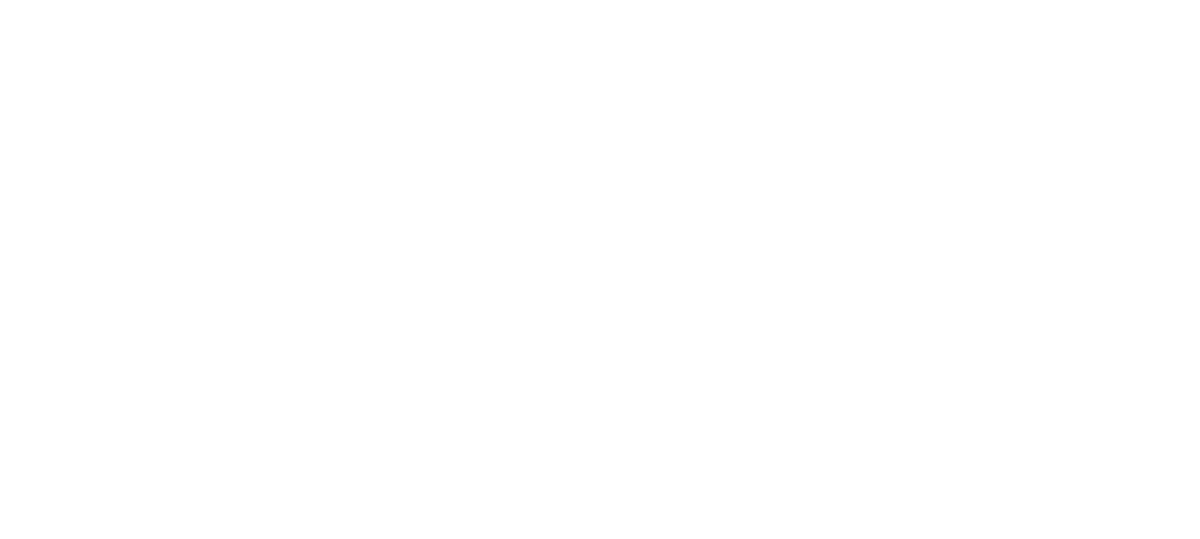 SALTIGA FROTHER