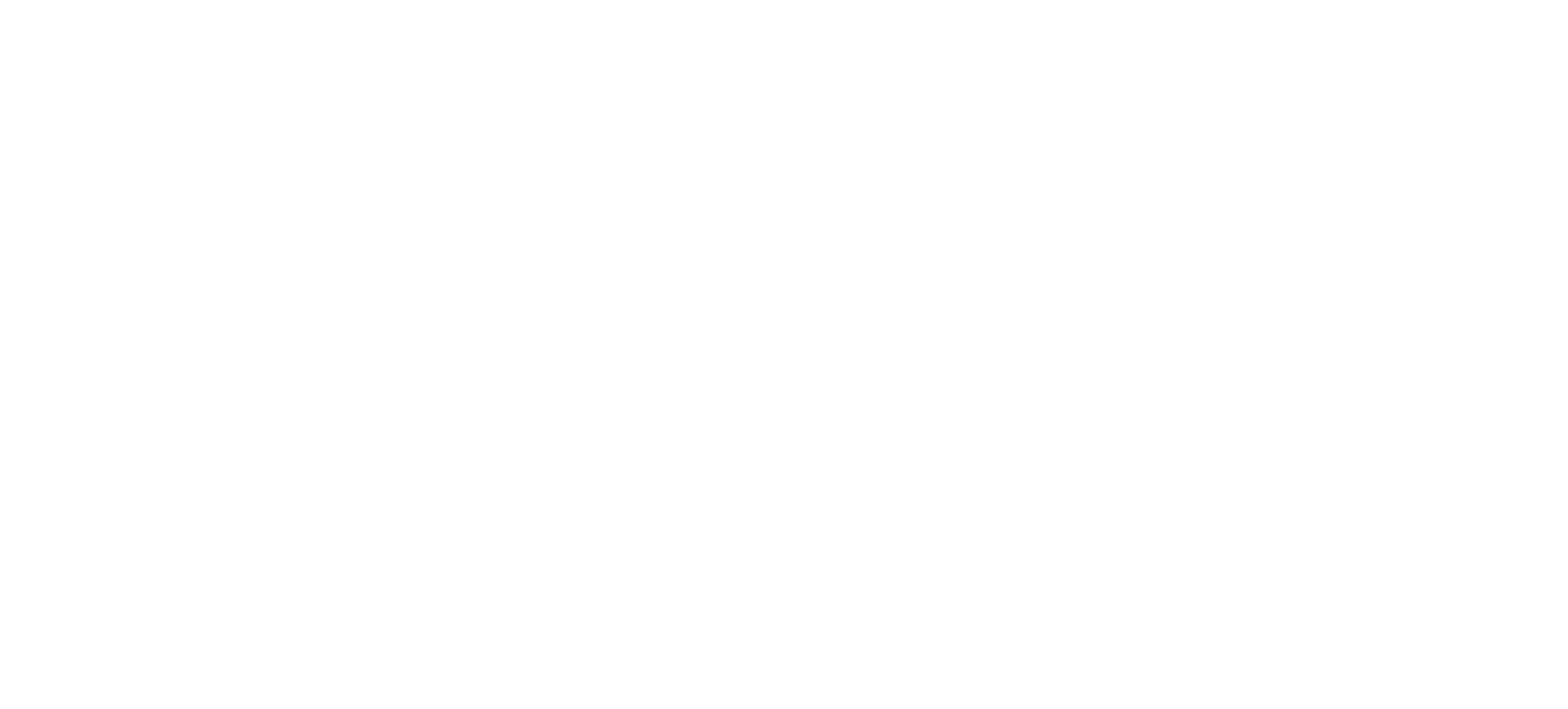 SALTIGA FROTHER（ソルティガ フロッサー）