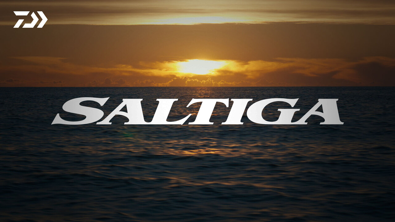 SALTIGA PromotionMovie