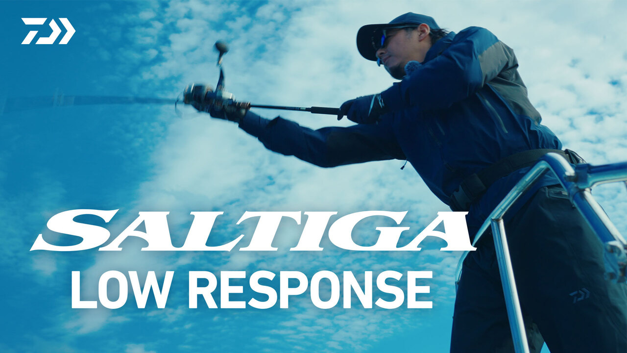 SALTIGA J LOWRESPONSE