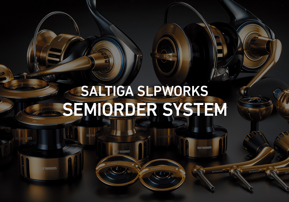 SALTIGA SLPWORKS SEMIORDER SYSTEM