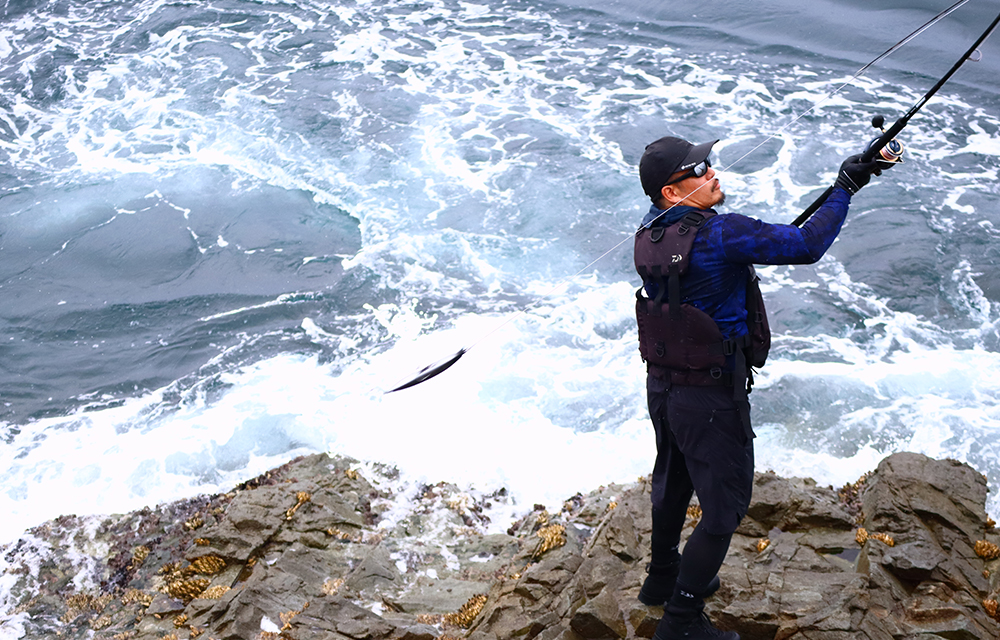 空を駆け、水平線を渡って大型魚を連れてくるビッグミノー