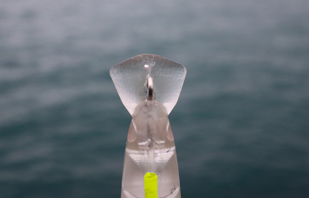 空を駆け、水平線を渡って大型魚を連れてくるビッグミノー