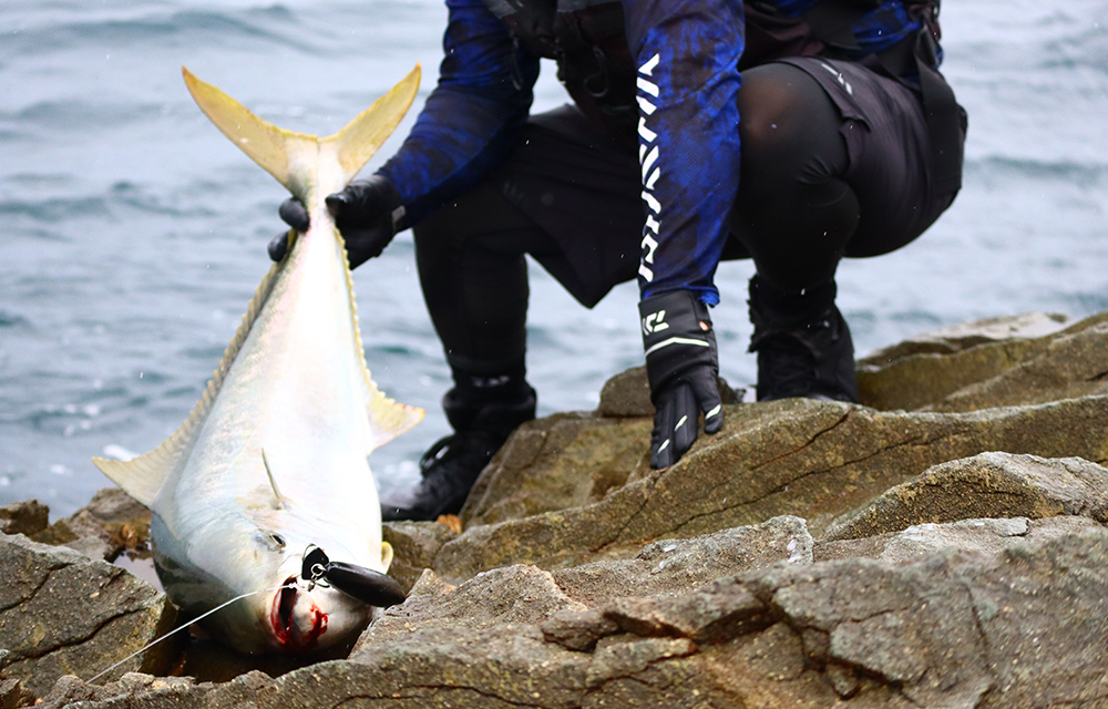 空を駆け、水平線を渡って大型魚を連れてくるビッグミノー