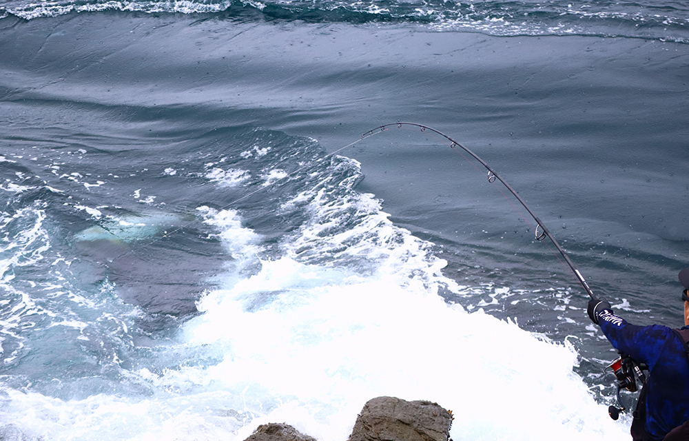 空を駆け、水平線を渡って大型魚を連れてくるビッグミノー