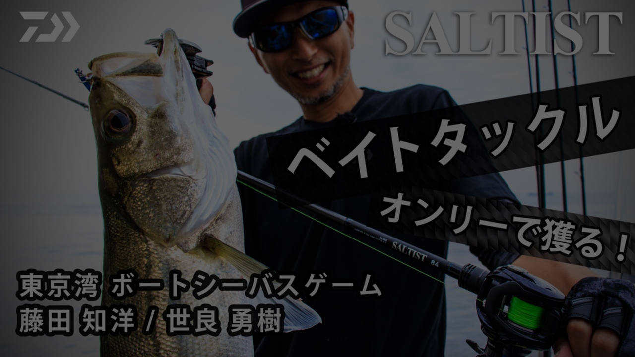 SALTIST（ソルティスト）｜DAIWA