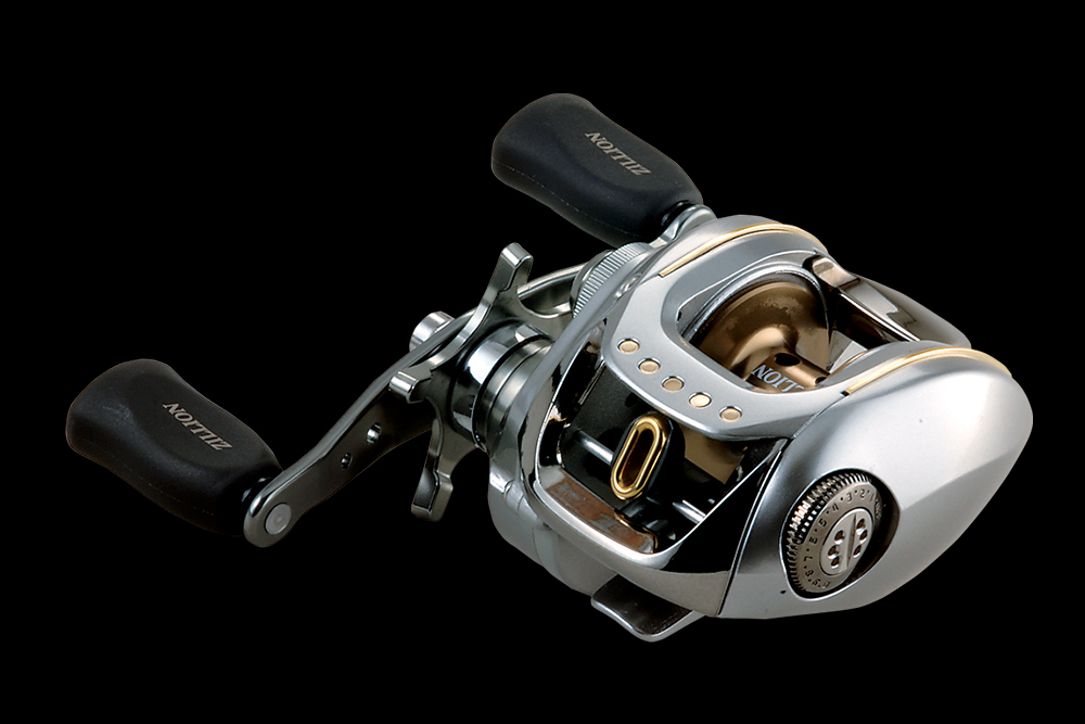 2006 T.D. ZILLION
