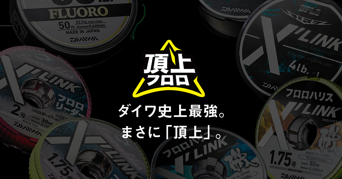 頂上フロロ DAIWA TECHNOLOGY｜DAIWA