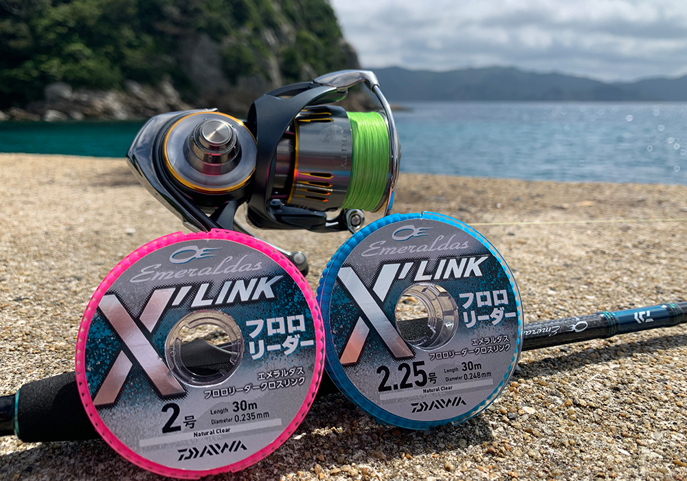 エメラルダスフロロリーダーX’LINK