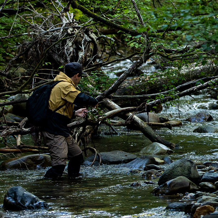 溪流鱒魚・飛蠅釣