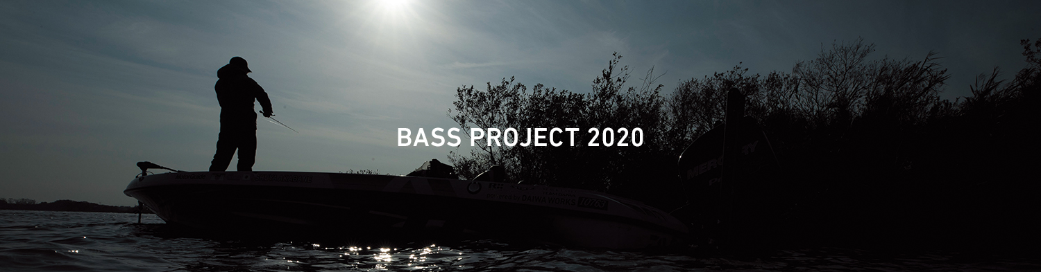 BASS PROJECT 2020