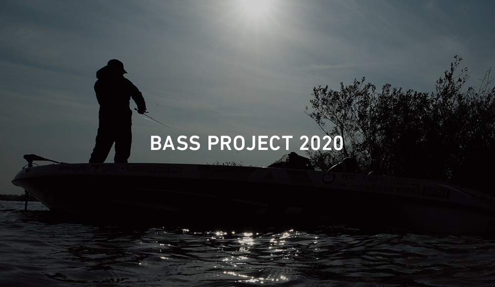 BASS PROJECT 2020