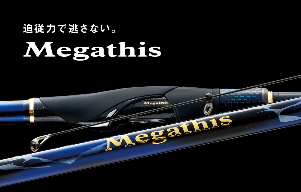 Megathis AGS（メガディス）