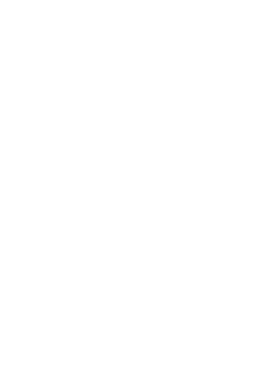 AGS（AIR GUIDE SYSTEM）TYPE-0（ゼロ）