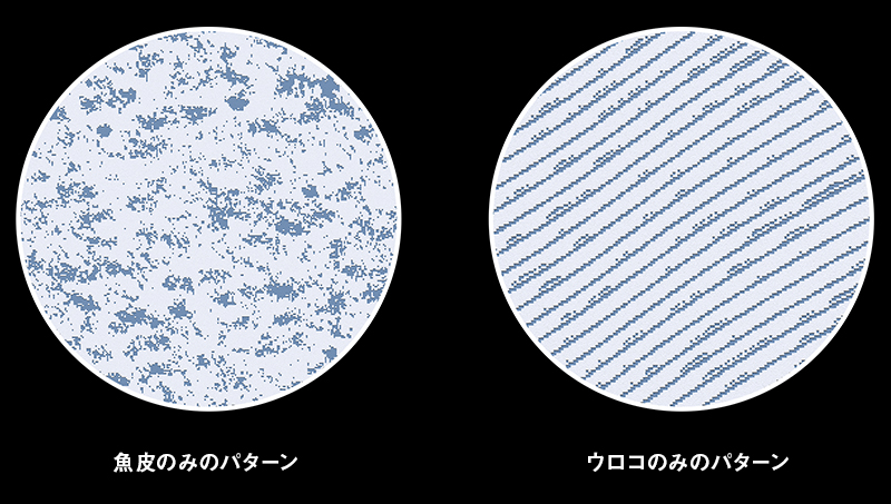 アデル