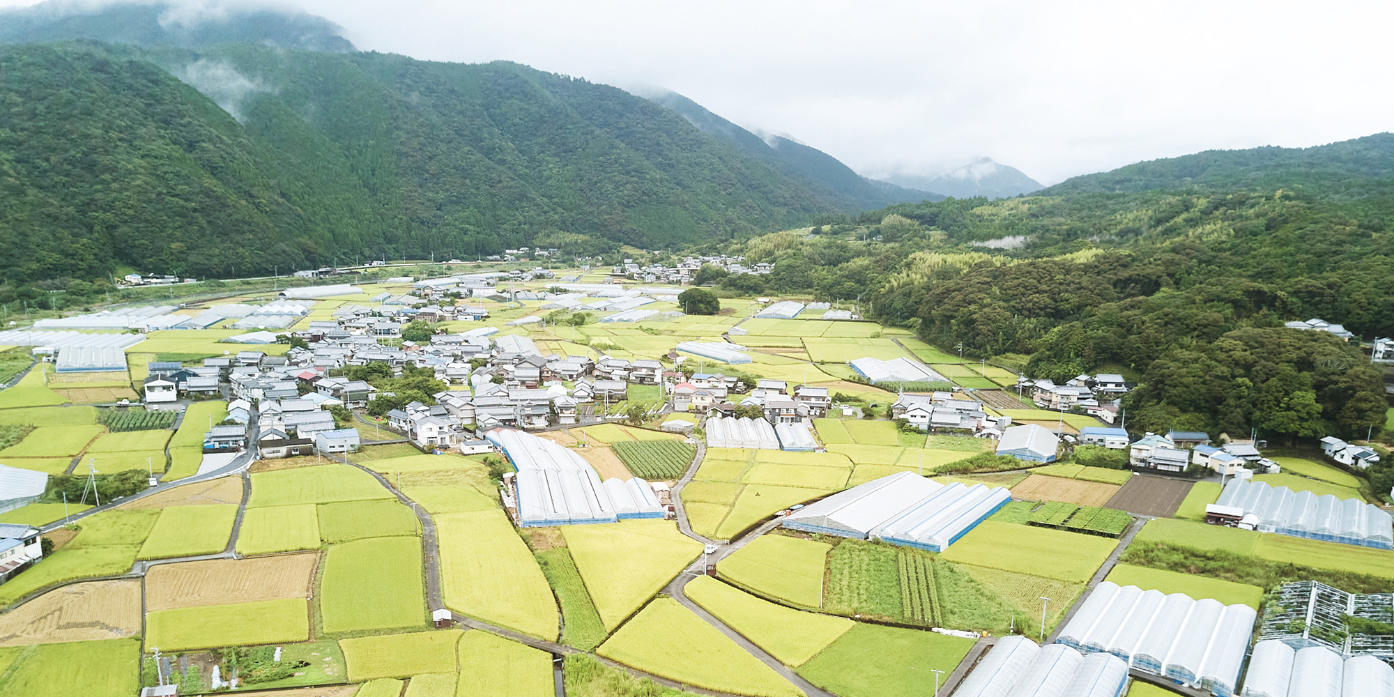 有岡 只祐