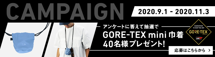 CAMPAIGN 9/1 COMMING SOON