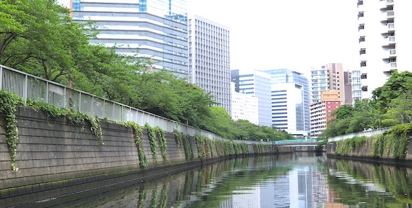 船から見る東京の川と海「TOKYO Sea School」を体験