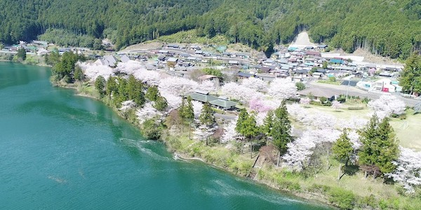 急峻な山が守る北山村の奇跡の果実   (熊野水系北山川)
