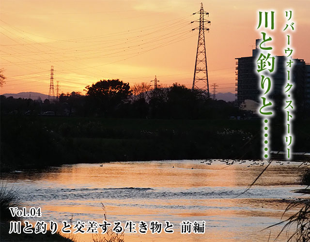 Daiwa 川と釣りと Web Site