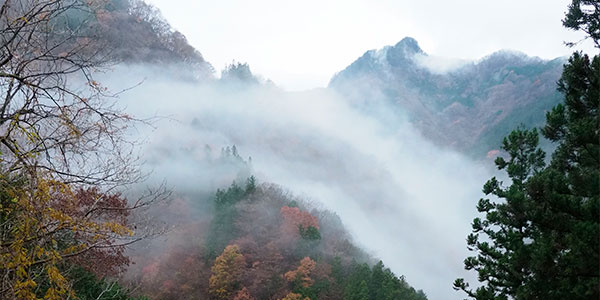 Vol.06 川と釣りと変化する風景と 前編