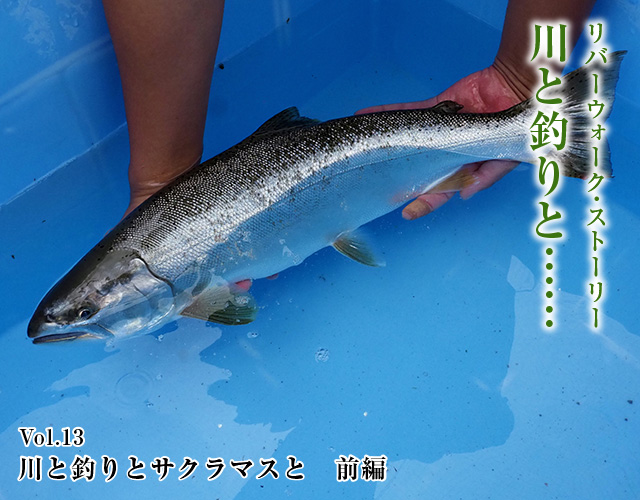Daiwa 川と釣りと Web Site