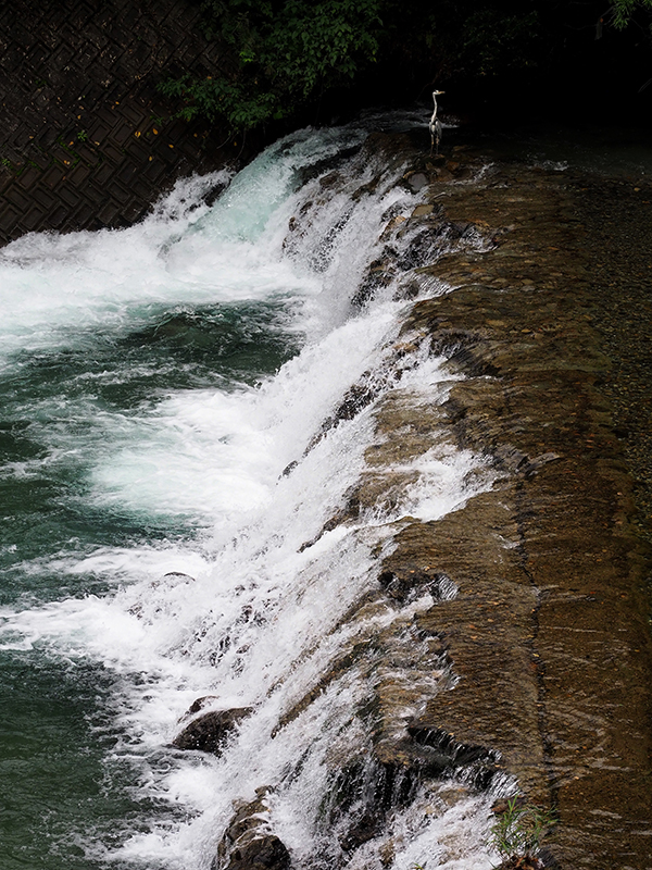 Daiwa 川と釣りと Web Site