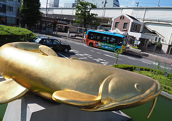 Daiwa 川と釣りと Web Site Daiwa 川と釣りと Web Site