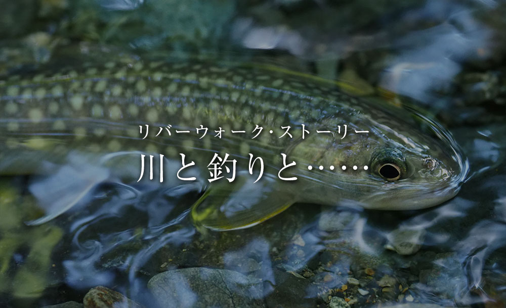 川と釣りと……