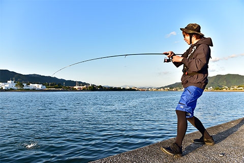 Daiwa メバルの釣り方と最新タックルを本気で解説してみた りんたこ流 Web Site