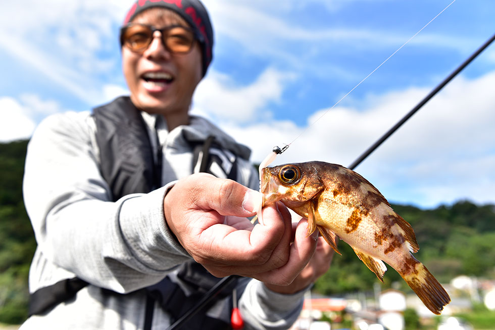 Daiwa メバルの釣り方と最新タックルを本気で解説してみた りんたこ流 Web Site