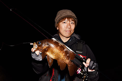 Daiwa メバルの釣り方と最新タックルを本気で解説してみた りんたこ流 Web Site