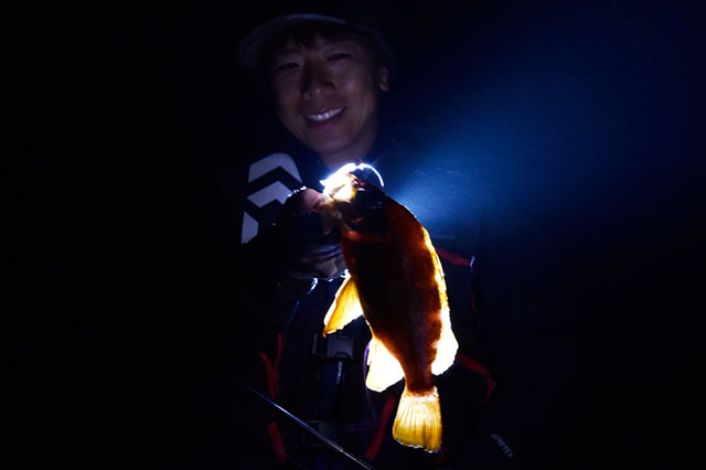 Daiwa メバルの釣り方と最新タックルを本気で解説してみた りんたこ流 Web Site