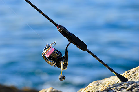 Daiwa メバルの釣り方と最新タックルを本気で解説してみた りんたこ流 Web Site