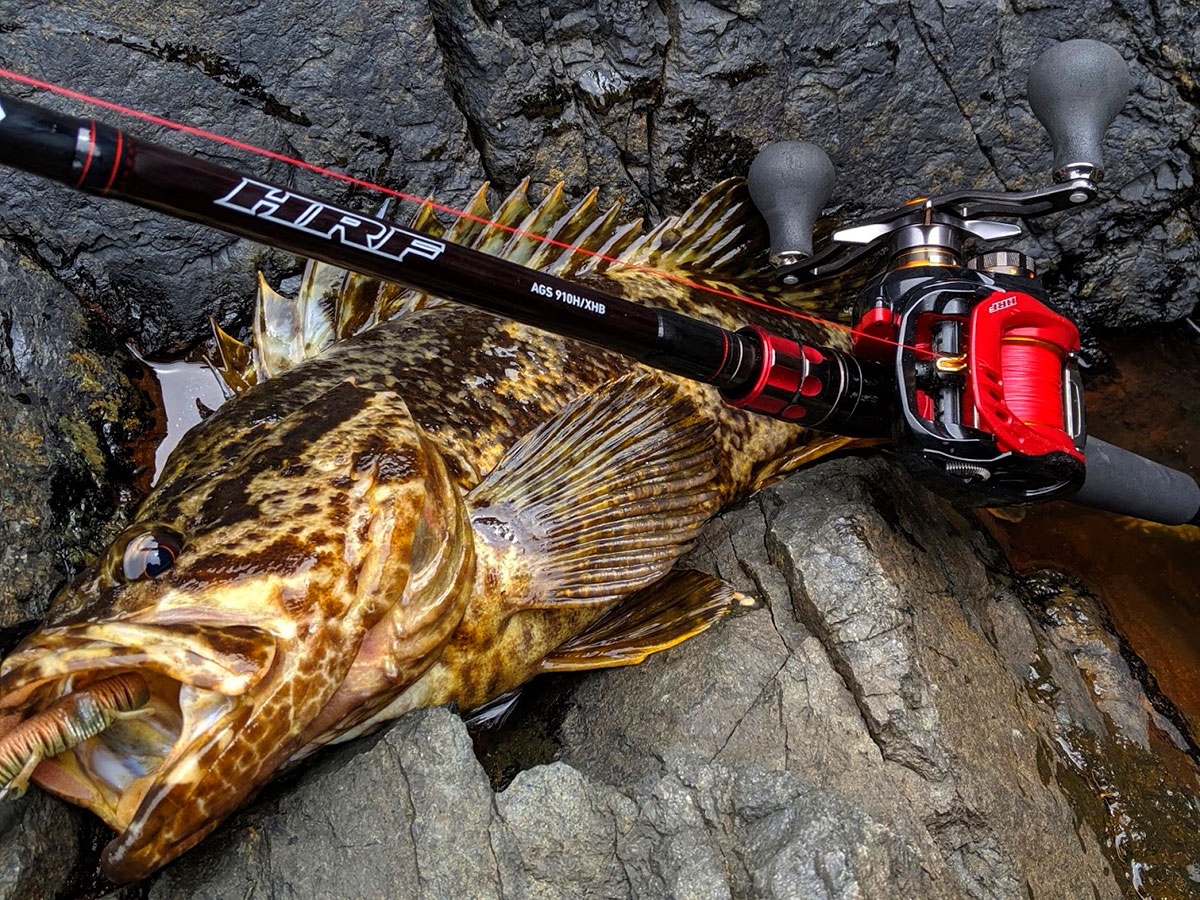 Daiwa Hrf Agsを体感せよ Web Site