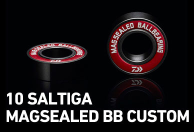 10 SALTIGA MAGSEALED BB CUSTOM