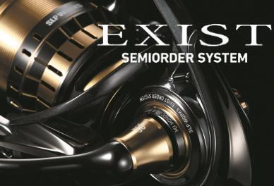 EXIST SEMI ORDER SYSTEM
