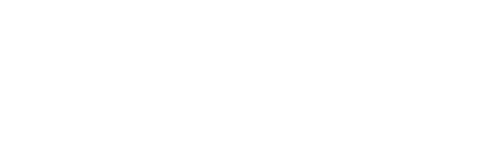 FISHING INFORMATION フライ