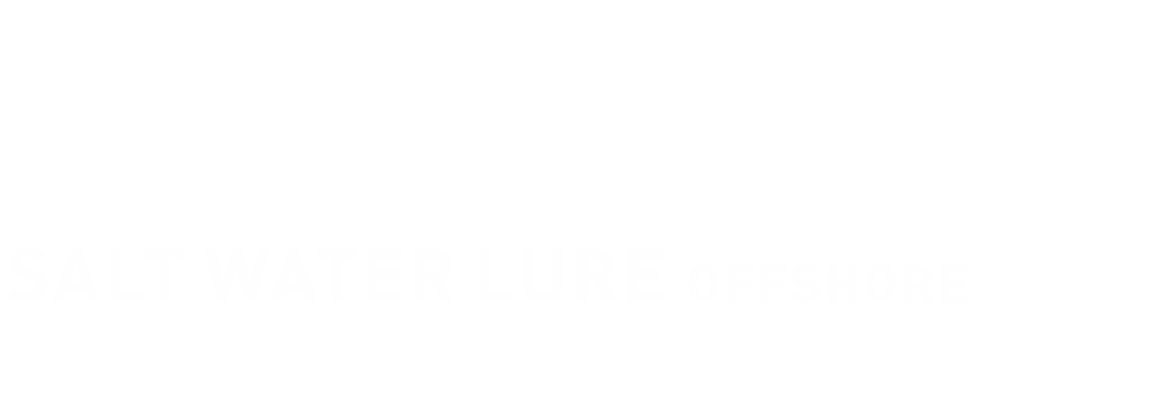 FISHING INFORMATION ソルトウォータールアー（オフショア）