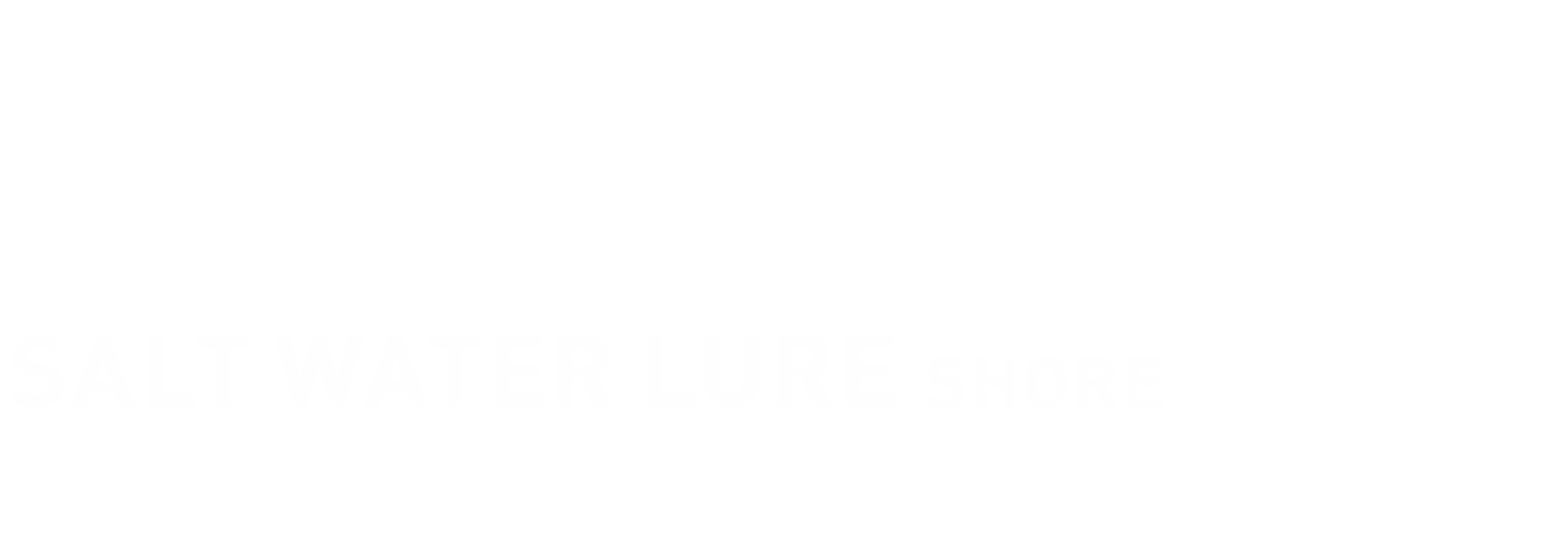 FISHING INFORMATION ソルトウォータールアー ショア